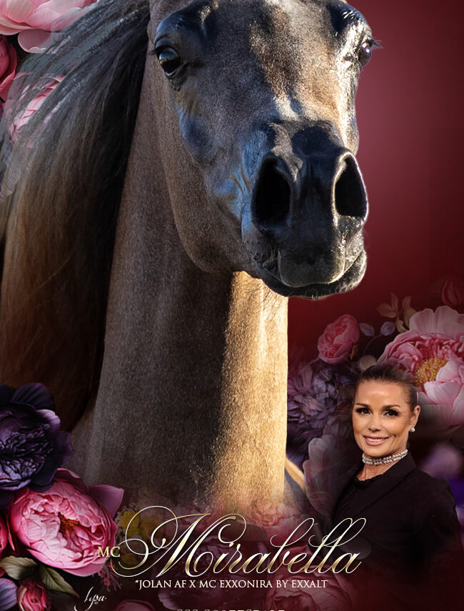 02-mc-mirabella-2-26